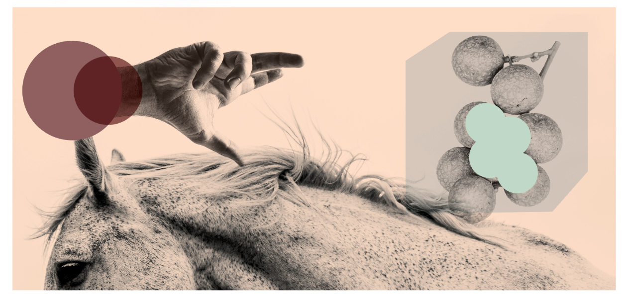 ©&nbsp;Unsplash&nbsp;; illustration : © William L. pour PM