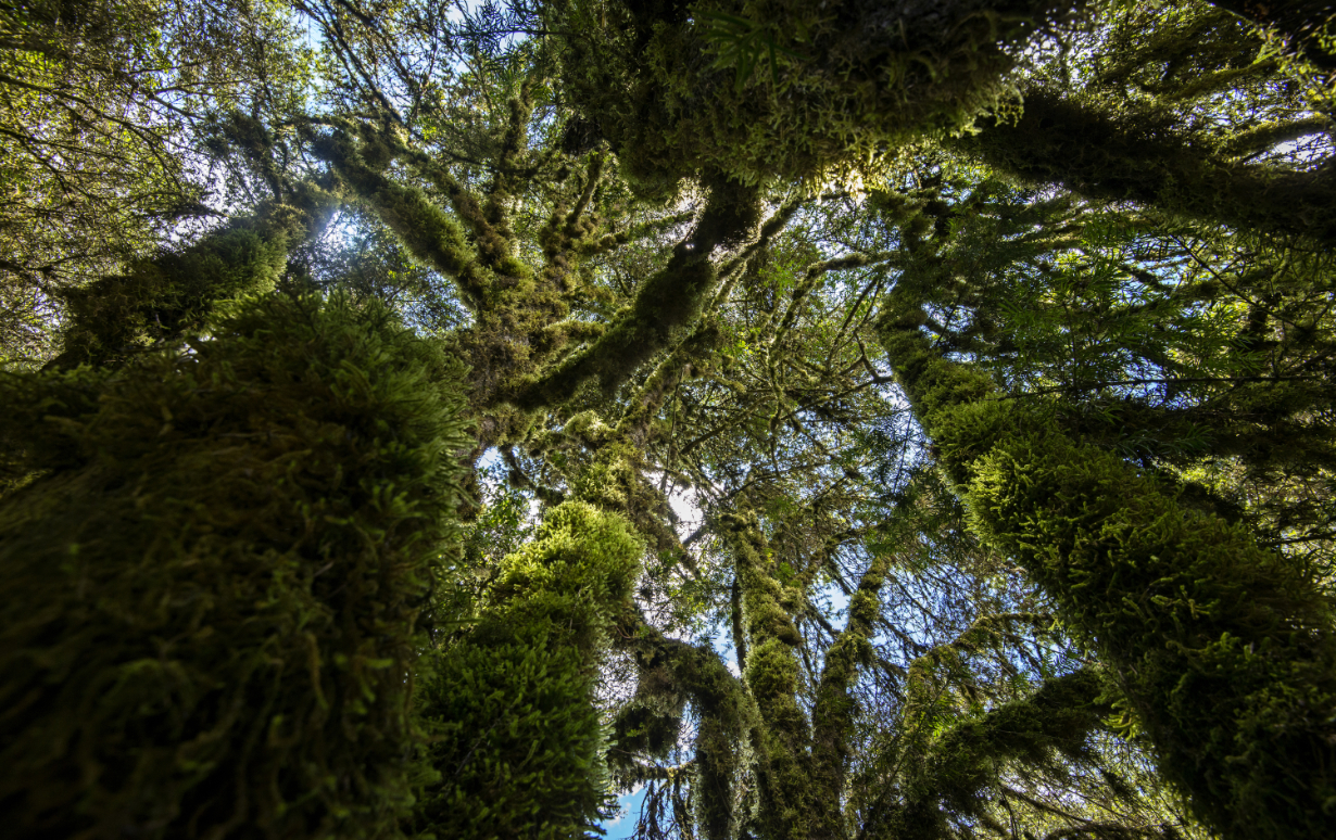 ©&nbsp;Nicolas Villaume