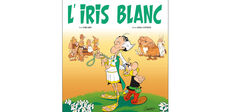 “L’Iris blanc” : Astérix contre la pensée positive