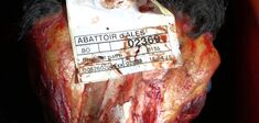 Abattoirs : faut-il cesser de manger de la viande pour respecter le droit animal ?