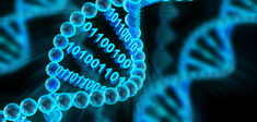 Des big data dans l’ADN