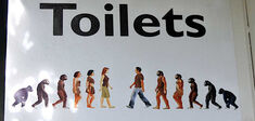 Pour ou contre les toilettes mixtes ?
