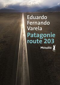 Patagonie route 203