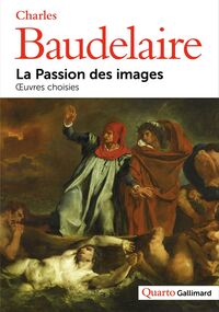 La Passion des images. Œuvres choisies