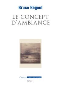 Le Concept d’ambiance