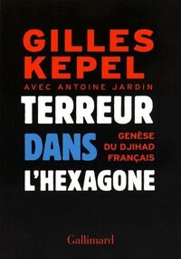 Terreur dans l'Hexagone. Genèse du djihad français