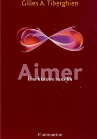 Aimer : Une histoire sans fin
