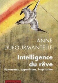 Intelligence du rêve