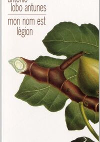 Mon nom est légion