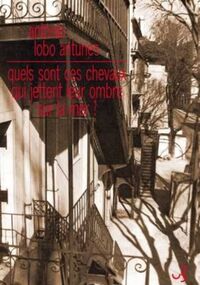 Quels sont ces chevaux qui jettent leur ombre sur la mer?