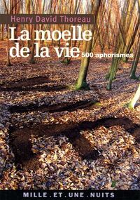 La Moëlle de la vie : 500 Aphorismes