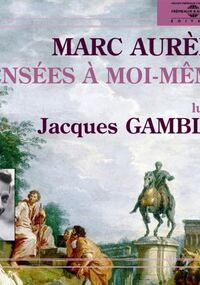 Pensées à moi-meme 