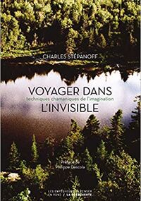 Voyager dans l’invisible. Techniques chamaniques de l’imagination