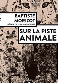 Sur la piste animale 