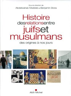 Histoire des relations entre juifs et musulmans des origines à nos jours