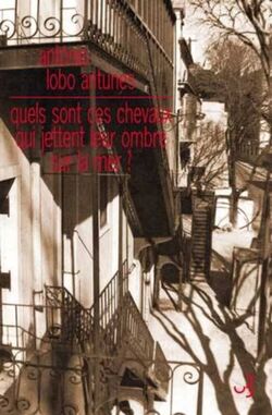 Quels sont ces chevaux qui jettent leur ombre sur la mer?