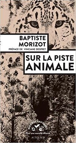 Sur la piste animale 
