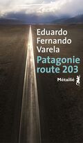 Patagonie route 203