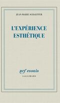 L'expérience esthétique