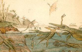 “Les Origines du monde. L’invention de la nature au XIXe siècle”. Exubérante étrangeté