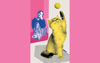 Pourquoi regarde-t–on des vidéos de chats ?