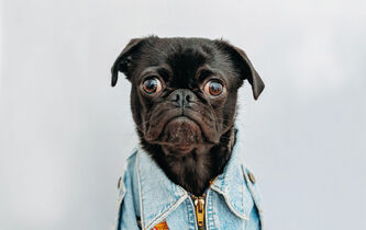 Pourquoi fait-on moins d’enfants ? La nouvelle chronique d’Anne-Sophie Moreau