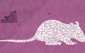 La mécanique du vivant