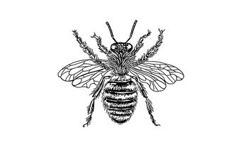 “Les vices privés font la vertu publique” / Bernard Mandeville / La Fable aux abeilles (1705)