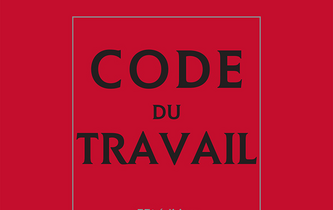 Dominique Méda: “La personne du travailleur est totalement occultée”