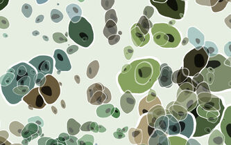 Concevoir l’embryon