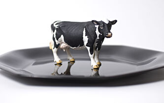 Viande de synthèse : une fausse bonne idée ?