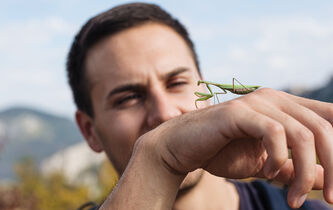 Faut-il intervenir dans les relations entre animaux ? 