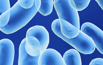 Bactéries, l’avenir du médicament ?