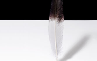 Plaidoyer pour la nuance (quand tout le monde veut en découdre)