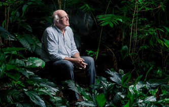 Le végétal, un vivant comme les autres ?