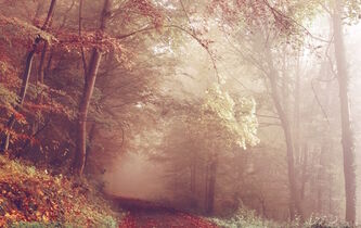 Les 12 visages de Mère Nature