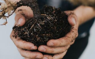Quand la génétique devient un argument touristique