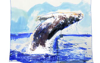 Au balcon des baleines