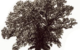 La raison contre la superstition