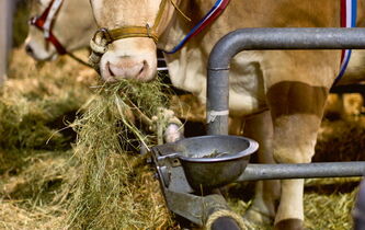 À la recherche de la ruralité perdue