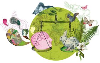 Le scepticisme bien tempéré