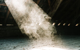 Quand l’archéologie retourne à la poussière