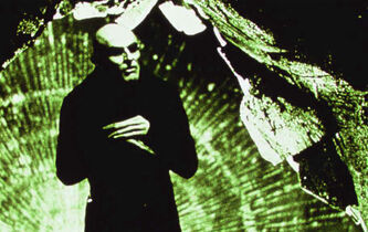 Qu’est-ce qu’un vampire ?