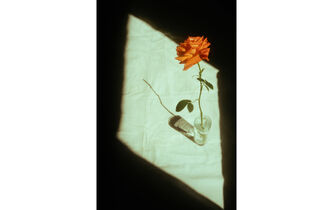 À manier avec précaution