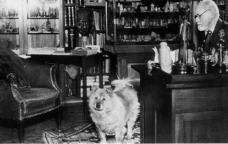 Quand un chien aidait Freud à psychanalyser ses patients