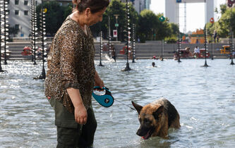 Eric Klinenberg : “Les canicules sont des tueuses silencieuses et invisibles de personnes silencieuses et invisibles”