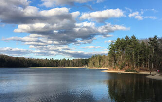 Revenir à l’essentiel, avec Henry David Thoreau