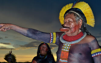 Raoni face aux crimes contre le vivant