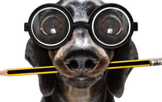 Les grandes citations de la philo : testez vos connaissances !