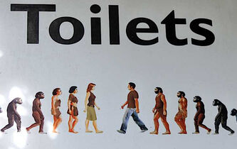 Pour ou contre les toilettes mixtes ?